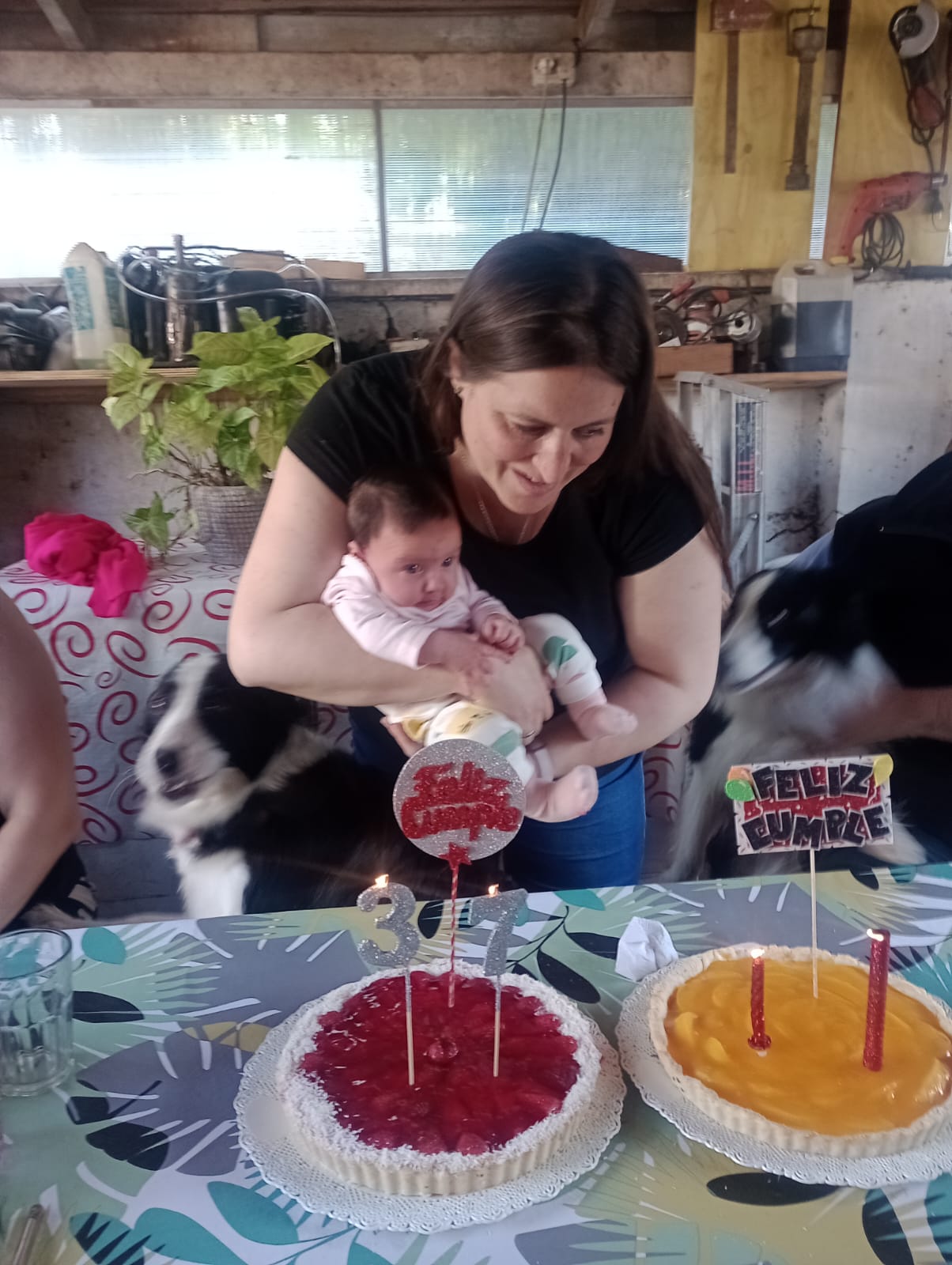 WhatsApp Image 2024-110-05 at 23.26.35.jpeg